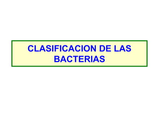 CLASIFICACION DE LAS
     BACTERIAS
 