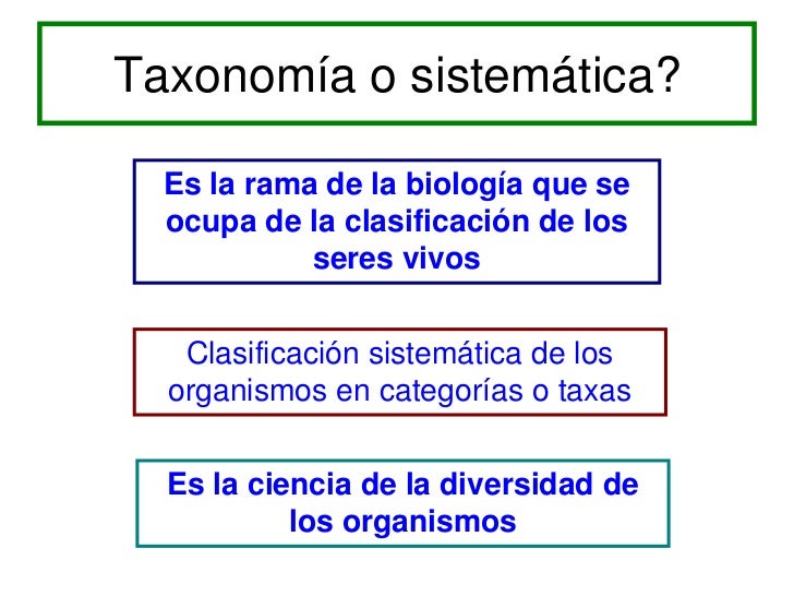 Clasificacion de las bacterias