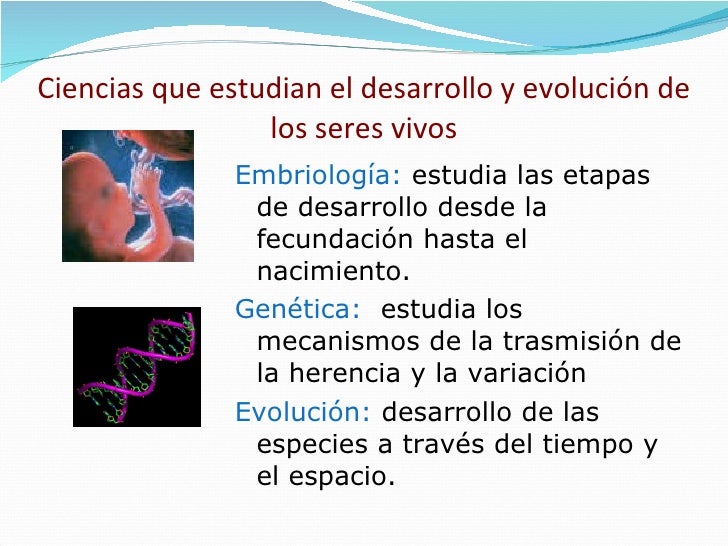 Clasificacion De Las Ciencias BiolóGicas