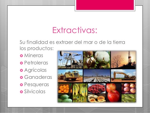 Clasificacion de las empresas