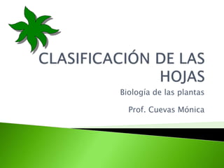 Biología de las plantas
Prof. Cuevas Mónica
 