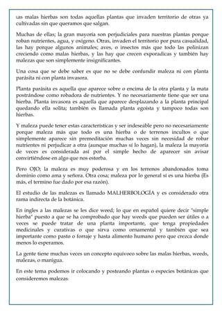 Las malas hierbas son todas aquellas plantas que invaden territorio de otras ya
cultivadas sin que queramos que salgan.

Muchas de ellas; la gran mayoría son perjudiciales para nuestras plantas porque
roban nutrientes, agua, y oxigeno. Otras, invaden el territorio por pura casualidad,
las hay porque algunos animales; aves, o insectos más que todo las polinizan
creciendo como malas hierbas, y las hay que crecen exporadicas y también hay
malezas que son simplemente insignificantes.

Una cosa que se debe saber es que no se debe confundir maleza ni con planta
parásita ni con planta invasora.

Planta parásita es aquella que aparece sobre o encima de la otra planta y la mata
postrándose como robadora de nutrientes. Y no necesariamente tiene que ser una
hierba. Planta invasora es aquella que aparece desplazando a la planta principal
quedando ella solita; también es llamada planta egoísta y tampoco todas son
hierbas.

Y maleza puede tener estas características y ser indeseable pero no necesariamente
porque maleza más que todo es una hierba o de terrenos incultos o que
simplemente aparece sin premeditación muchas veces sin necesidad de robar
nutrientes ni perjudicar a otra (aunque muchas sí lo hagan), la maleza la mayoría
de veces es considerada así por el simple hecho de aparecer sin avisar
convirtiéndose en algo que nos estorba.

Pero OJO; la maleza es muy poderosa y en los terrenos abandonados toma
dominio como ama y señora. Otra cosa; maleza por lo general sí es una hierba (Es
más, el termino fue dado por esa razón).

El estudio de las malezas es llamado MALHERBOLOGÍA y es considerado otra
rama indirecta de la botánica.

En ingles a las malezas se les dice weed; lo que en español quiere decir "simple
hierba" puesto a que se ha comprobado que hay weeds que pueden ser útiles o a
veces se puede tratar de una planta importante, que tenga propiedades
medicinales y curativas o que sirva como ornamental y también que sea
importante como pasto o forraje y hasta alimento humano pero que crezca donde
menos lo esperamos.

La gente tiene muchas veces un concepto equívoco sobre las malas hierbas, weeds,
malezas, o manigua.

En este tema podemos ir colocando y posteando plantas o especies botánicas que
consideremos malezas:
 