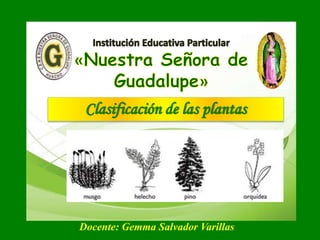 Clasificación de las plantas 
Docente: Gemma Salvador Varillas 
 