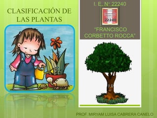 I. E. N° 22240
“FRANCISCO
CORBETTO ROCCA”
CLASIFICACIÓN DE
LAS PLANTAS
PROF. MIRYAM LUISA CABRERA CANELO
 