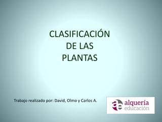 CLASIFICACIÓN
DE LAS
PLANTAS
Trabajo realizado por: David, Olmo y Carlos A.
 