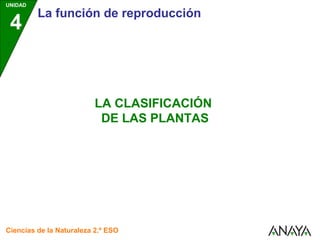 UNIDAD
4
La función de reproducción
Ciencias de la Naturaleza 2.º ESO
LA CLASIFICACIÓN
DE LAS PLANTAS
 