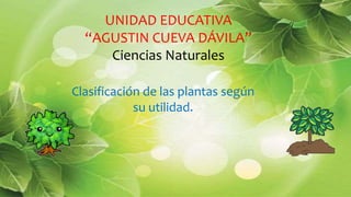 UNIDAD EDUCATIVA
“AGUSTIN CUEVA DÁVILA”
Ciencias Naturales
Clasificación de las plantas según
su utilidad.
 