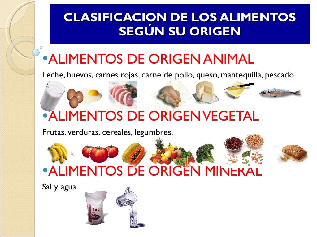 Clasificacion de los alimentos