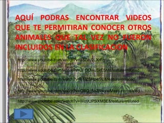 AQUÍ PODRAS ENCONTRAR VIDEOS QUE TE PERMITIRAN CONOCER OTROS ANIMALES QUE TAL VEZ NO FUERON INCLUIDOS EN LA CLASIFICACION http://www.youtube.com/watch?v=a3Zey2LXrFg http://www.youtube.com/watch?v=JFOOwu5xE5M&feature=related http://www.youtube.com/watch?v=o1IZSHz4f9E&feature=related http://www.youtube.com/watch?v=QBQ_5aZRwxw&feature=related http://www.youtube.com/watch?v=Wo9UP5lXM3E&feature=related 