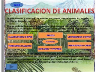 La gran cantidad y diversidad de animales que habitan nuestro planeta ha obligado a clasificarlos de muchas maneras. Algunas son bastante complejas y requieren conocimientos muy especializados, Para empezar a conocer a los animales haremos una clasificación usando criterios muy sencillos, y dividiremos a los distintos animales según características bien propias y fáciles de entender: Estas clasificaciones no son todas, pero sirven para empezar, Además, debe tenerse en cuenta que estas clasificaciones no son excluyentes y los animales pueden tener varias características y pertenecer a varios grupos. Así, puede haber animales cuadrúpedos vertebrados carnívoros como puede haber bípedos vertebrados herbíboros CUADRUPEDOS O BIPEDOS HERVIVOROS O CARNIVOROS TERRESTRES O ACUATICOS VERTEBRADOS O INVERTEBRADOS INICIO ACTIVIDADES OVIPAROS Y VIVIPAROS AEREOS 