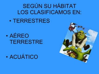 SEGÚN SU HÁBITAT LOS CLASIFICAMOS EN: TERRESTRES AÉREO TERRESTRE ACUÁTICO 