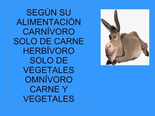 SEGÚN SU ALIMENTACIÓN CARNÍVORO SOLO DE CARNE HERBÍVORO SOLO DE VEGETALES OMNÍVORO CARNE Y VEGETALES 