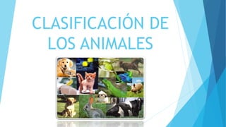 CLASIFICACIÓN DE
LOS ANIMALES
 