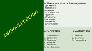 La FDA aprueba el uso de 9 aminoglucósido:
-GENTAMICINA
-TOBRAMICINA
-AMIKACINA
-ESTREPTOMICINA
-NEOMICINA
-KANAMICINA
-PAROMICINA
-NETILMICINA
-ESPECTOMICINA
A.-VÍA PARENTERAL B.-VÍA TÓPICA Y ORAL
1.- Estreptomicina 1.- Neomicina
2.- Gentamicina 2.- Kanamicina
3.- Tobramicina 3.- Paramomicina
4.- Amikacina
5.- Netilmicina
6.- Espectinomicina
 
