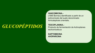 GLUCOPÉPTIDOS
VANCOMICINA.-
(1965 Borneo) identificado a partir de un
actinomiceto del suelo denominado
Amicalaptosis orientalis.
TEICOPLANINA.-
Producto de fermentación de Actinoplanes
teichomiceticus
DAPTOMICINA
AVOPARCINA
 