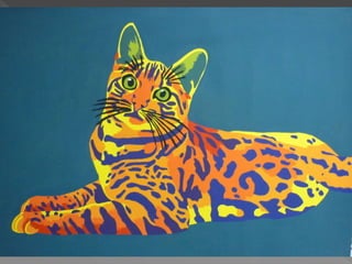 Clasificacion  de los colores