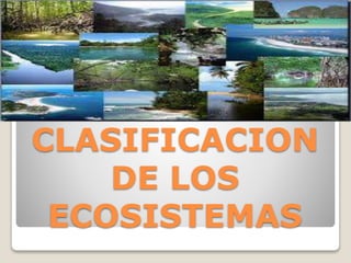 CLASIFICACION
DE LOS
ECOSISTEMAS
 