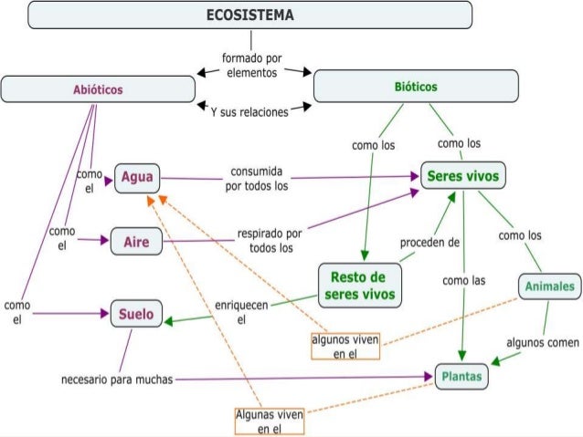 Clasificacion de los ecosistemas