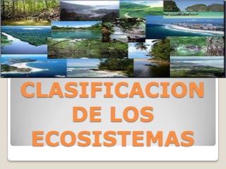 CLASIFICACION
DE LOS
ECOSISTEMAS
 