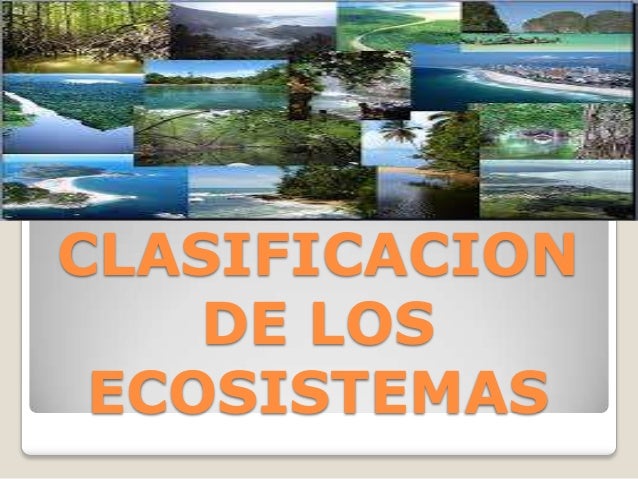 Clasificacion de los ecosistemas