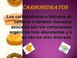 Los carbohidratos o hidratos de
   carbono o también llamados
  azúcares son los compuestos
 orgánicos más abundantes y a
       su vez los más diversos.
 