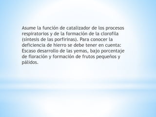 Asume la función de catalizador de los procesos
respiratorios y de la formación de la clorofila
(síntesis de las porfirinas). Para conocer la
deficiencia de hierro se debe tener en cuenta:
Escaso desarrollo de las yemas, bajo porcentaje
de floración y formación de frutos pequeños y
pálidos.
 