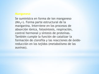 Manganeso
Se suministra en forma de ion manganeso
(Mn2+). Forma parte estructural de la
manganina. Interviene en los procesos de
absorción iónica, fotosíntesis, respiración,
control hormonal y síntesis de proteínas.
También cumple la función de catalizar la
formación de clorofila y las reacciones de óxido-
reducción en los tejidos (metabolismo de las
auxinas).
 