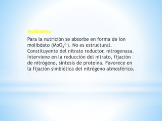 Molibdeno
Para la nutrición se absorbe en forma de ion
molibdato (MoO4
2-). No es estructural.
Constituyente del nitrato reductor, nitrogenasa.
Interviene en la reducción del nitrato, fijación
de nitrógeno, síntesis de proteína. Favorece en
la fijación simbiótica del nitrógeno atmosférico.
 