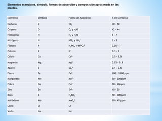 Elemento Símbolo Forma de Absorción % en la Planta
Carbono C C02 40 - 50
Oxígeno O O2 y H2O 42 - 44
Hidrógeno H H2 y H2O 6 - 7
Nitrógeno N NO3
- y NH4
+ 1 - 3
Fósforo P H2PO4
- y HPO4
2- 0.05 -1
Potasio K K+ 0.3 - 3
Calcio Ca Ca2+ 0.5 - 3.5
Magnesio Mg Mg2+ 0.03 - 0.8
Azufre S S04
2- 0.1 - 0.5
Fierro Fe Fe2+ 100 – 1000 ppm
Manganeso Mn Mn2+ 50 - 300ppm
Cobre Cu Cu2+ 10 - 40ppm
Zinc Zn Zn2+ 10 - 20
Boro B H2B03
- 50 - 300ppm
Molibdeno Mo Mo04
2- 10 - 40 ppm
Cloro Cl Cl-
Sodio Na Na+
Elementos esenciales, símbolo, formas de absorción y composición aproximada en las
plantas.
 