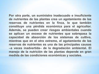 Por otra parte, un suministro inadecuado e insuficiente
de nutrientes de las plantas crea un agotamiento de las
reservas de nutrientes en la finca, lo que también
constituye una pérdida económica para el agricultor.
Además, se pueden crear riesgos ambientales cuando
se aplican un exceso de nutrientes que sobrepasa la
capacidad de absorción de los sistemas de cultivo,
mientras que en el otro extremo, el agotamiento de las
reservas de nutrientes es una de las principales causas
–a veces inadvertida– de la degradación ambiental. El
manejo de la nutrición de las plantas depende en gran
medida de las condiciones económicas y sociales.
 