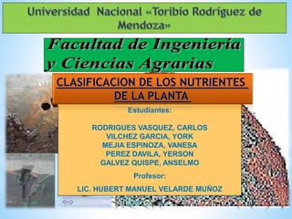 Clasificacion de los nutrientes en plantas.pdf