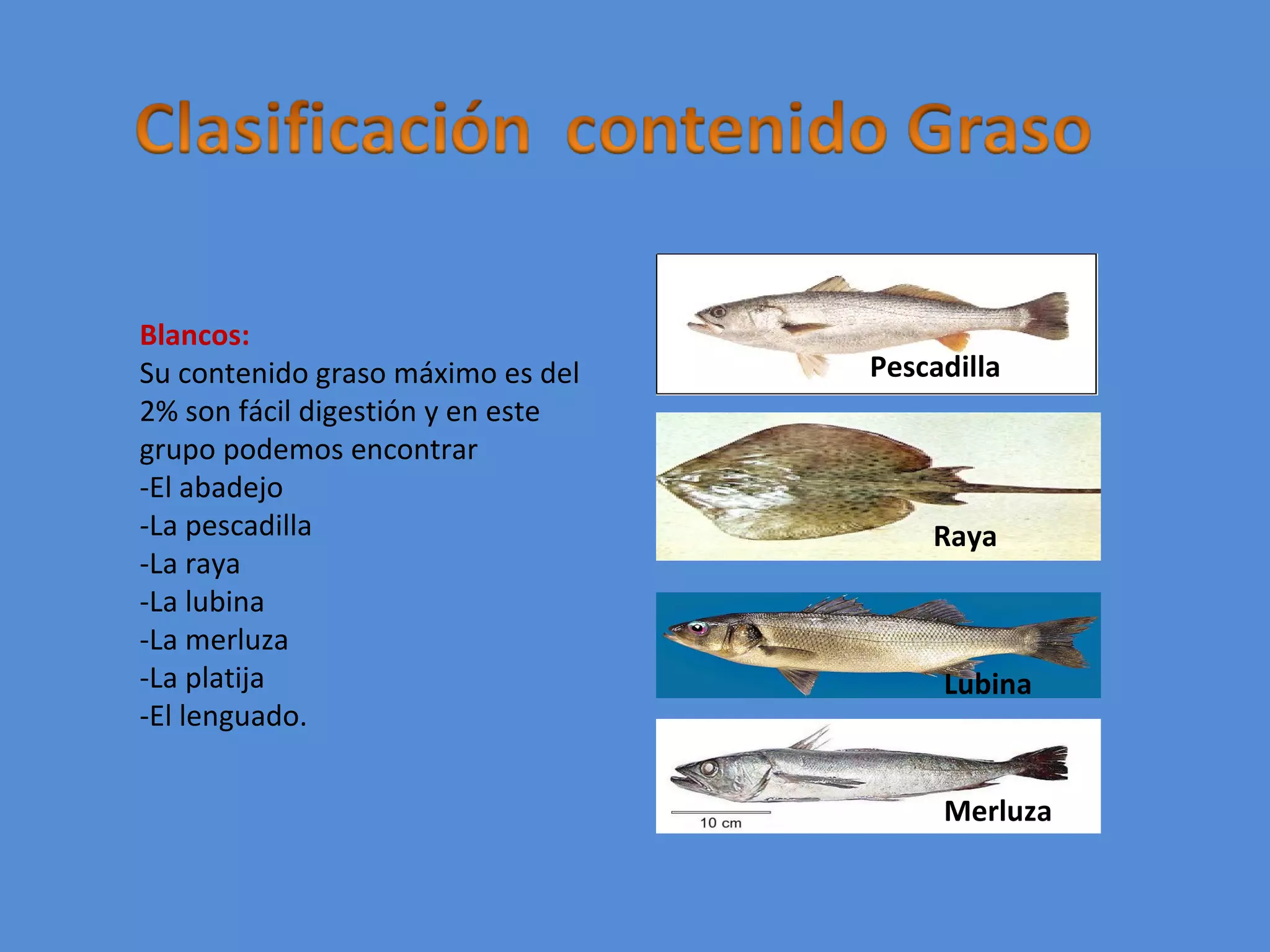 Clasificacion de los pescados