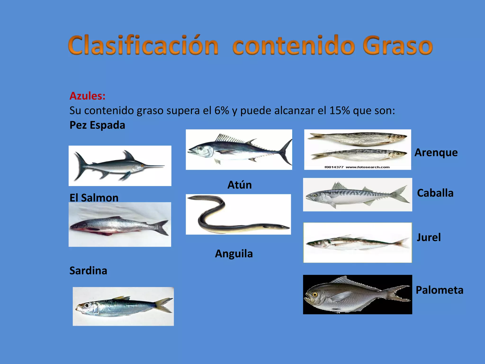 Clasificacion de los pescados