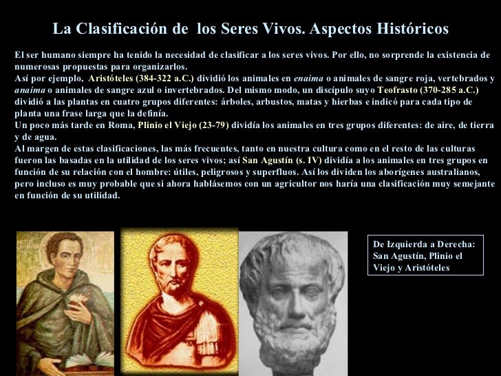 Clasificacion De Los Seres Vivos