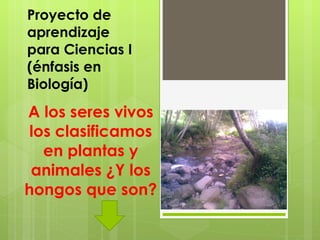 Proyecto de aprendizaje para Ciencias I (énfasis en Biología) A los seres vivos los clasificamos en plantas y animales ¿Y los hongos que son? 
