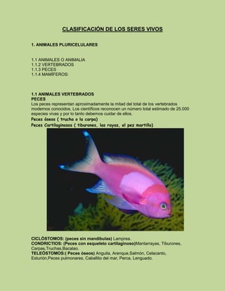 CLASIFICACIÓN DE LOS SERES VIVOS
1. ANIMALES PLURICELULARES

1.1 ANIMALES O ANIMALIA
1.1.2 VERTEBRADOS
1.1.3 PECES
1.1.4 MAMÍFEROS:

1.1 ANIMALES VERTEBRADOS
PECES
Los peces representan aproximadamente la mitad del total de los vertebrados
modernos conocidos. Los científicos reconocen un número total estimado de 25.000
especies vivas y por lo tanto debemos cuidar de ellos.
Peces óseos ( trucha o la carpa)
Peces Cartilaginosos ( tiburones, las rayas, el pez martillo)

CICLÓSTOMOS: (peces sin mandíbulas) Lamprea.
CONDRICTIOS: (Peces con esqueleto cartilaginoso)Mantarrayas, Tiburones,
Carpas,Truchas,Bacalao.
TELEÓSTOMOS:( Peces óseos) Anguila, Arenque,Salmón, Celacanto,
Esturión,Peces pulmonares, Caballito del mar, Perca, Lenguado.

 