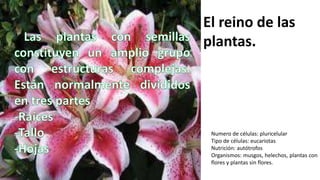 El reino de las
plantas.
Numero de células: pluricelular
Tipo de células: eucariotas
Nutrición: autótrofos
Organismos: musgos, helechos, plantas con
flores y plantas sin flores.
 