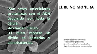 EL REINO MONERA
Numero de células: unicelular.
Tipo de celular: procariotas.
Nutrición: autótrofos, heterótrofos.
Organismos: bacterias, cianobacterias.
 