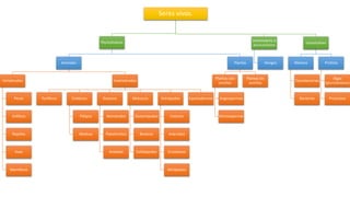 Seres vivos.
Pluricelulares
Animales
Vertebrados
Peces
Anfibios
Reptiles
Aves
Mamiferos
Invertebrados
Poríferos Cnidarios
Pólipos
Medusa
Gusanos
Nematodos
Platelmintos
Anelidos
Moluscos
Gasterópodos
Bivalvos
Cefalópodos
Artrópodos
Insectos
Arácnidos
Crustáceos
Miriápodos
Equinodermos
Plantas
Plantas con
semillas
Angiospermas
Gimnospermas
Plantas sin
semillas
Unicelulares o
pluricelulares
Hongos
Unicelulares
Mónera
Cianobacterias
Bacterias
Protista
Algas
(pluricelulares)
Protozoos
 