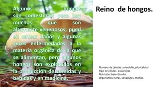 Reino de hongos.
Numero de células: unicelular, pluricelular
Tipo de células: eucariotas
Nutrición: heterótrofos
Organismos: serás, Levaduras, mohos.
 