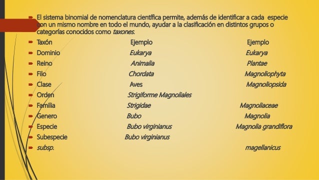 Clasificacion de los seres vivos.