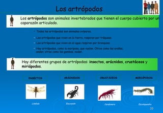 clasificacion de los seres vivos en español.ppt