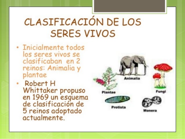 Las causas del dolor en los riñones a los hombres que dan en los pies