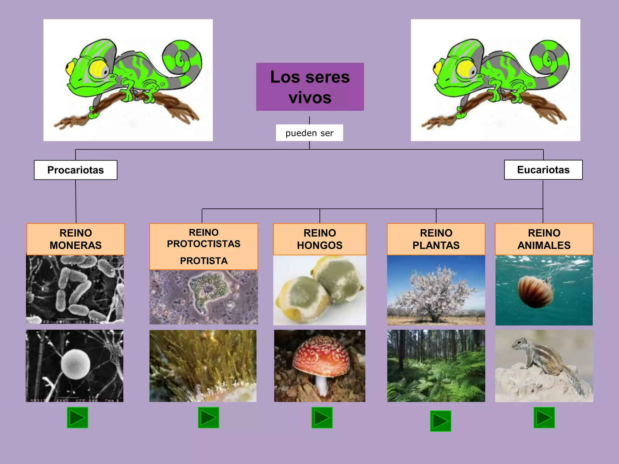 Clasificacion de los seres vivos2 | PDF