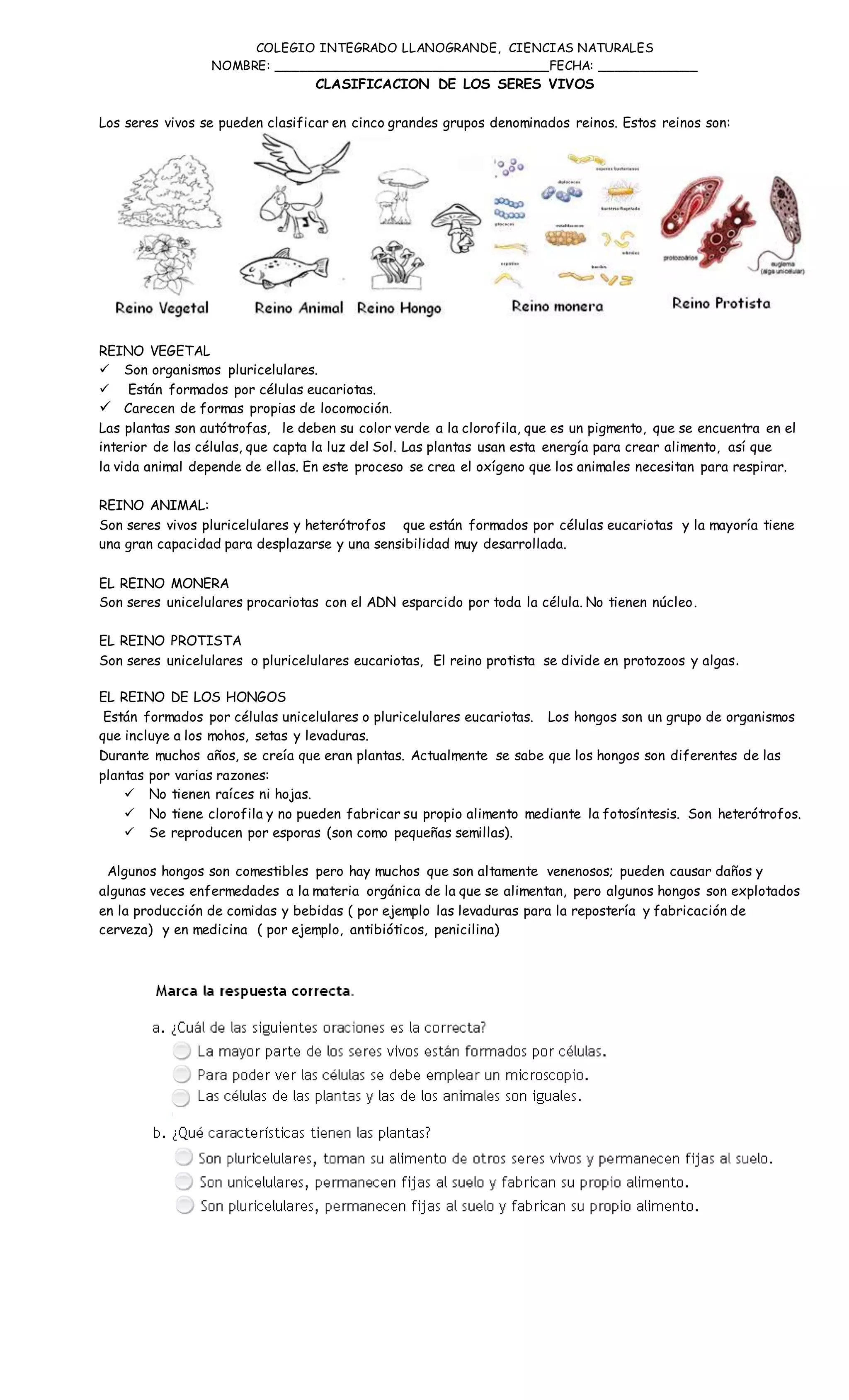 Clasificacion de los seres vivos reinos | DOCX