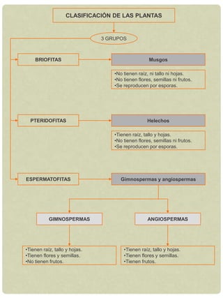 Heterótrofos.CLASIFICACIÓN DE LOS SERES VIVOSMONERASBacteriasUnicelulares.