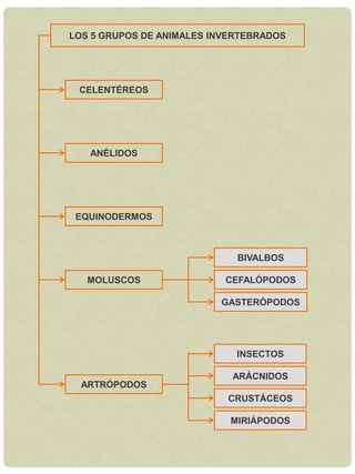 Autótrofos y heterótrofos.CLASIFICACIÓN DE LOS SERES VIVOSPROTISTASAlgas y seres unicelulares.Todas sus células tienen núcleo.