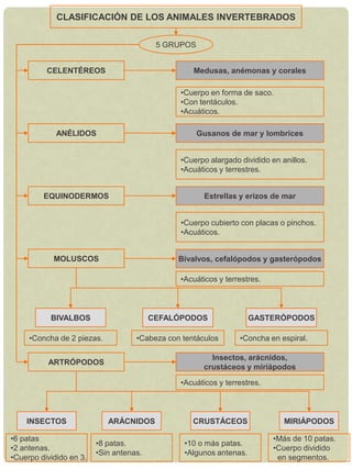 Autótrofos y heterótrofos.CLASIFICACIÓN DE LOS SERES VIVOSHONGOSLevaduras, mohos y setasUnicelulares y pluricelulares.