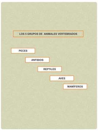 Heterótrofos.LOS 3 GRUPOS DE PLANTASBRIOFITASPTERIDOFITASESPERMATOFITASGIMNOSPERMASANGIOSPERMAS