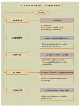 CLASIFICACIÓN DE LOS SERES VIVOS5 REINOSMONERASBacteriasUnicelulares.